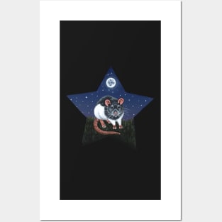 Grey Hooded Rat Star Posters and Art